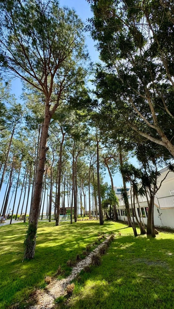 Фото отеля SIU COLLECTION