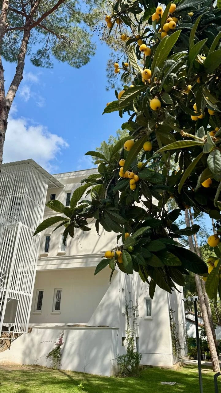 Фото отеля SIU COLLECTION