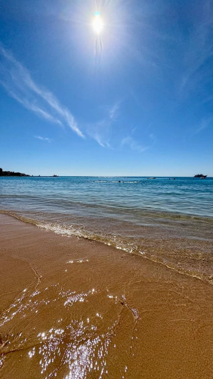 Фото отеля FARAANA REEF RESORT (EX. CLUB FARAANA REEF)