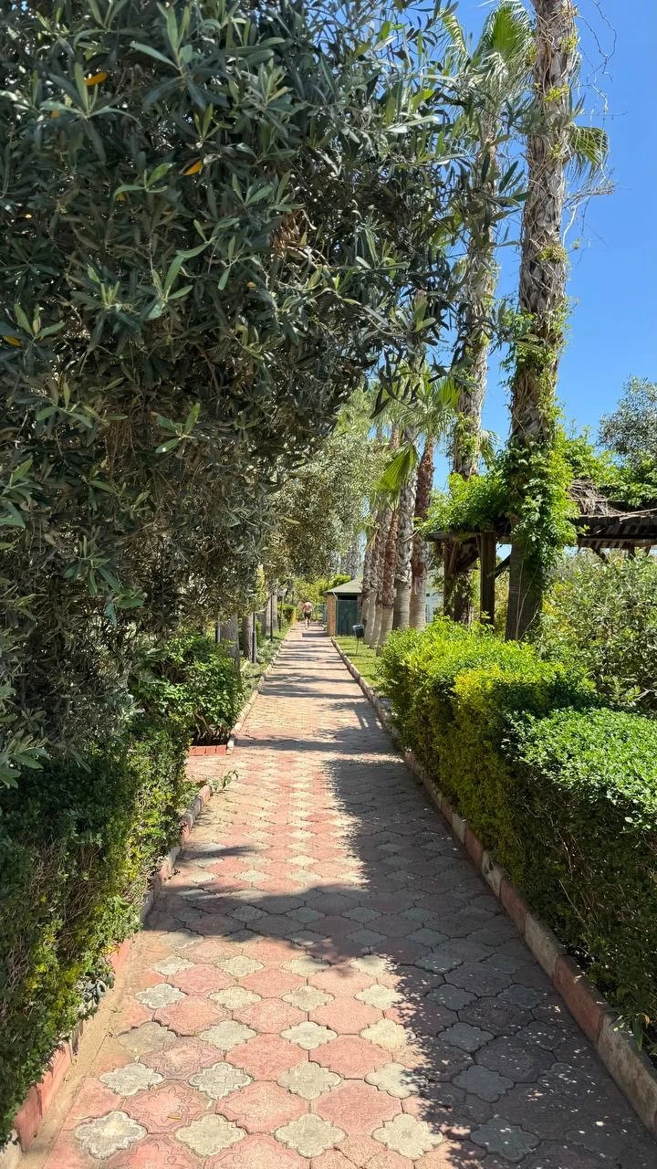 Фото отеля MC ARANCIA RESORT HOTEL