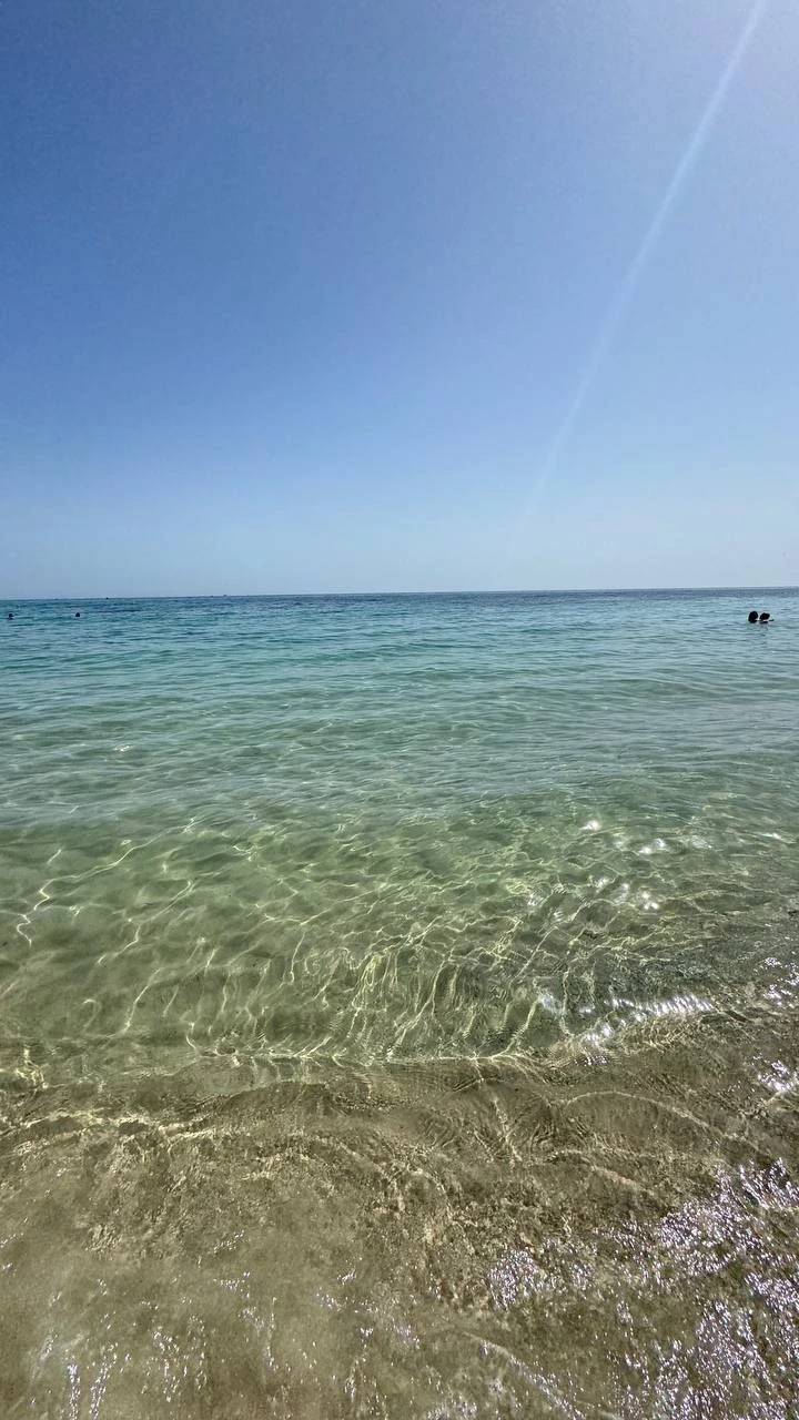 Фото отеля RIVIERA RESORT