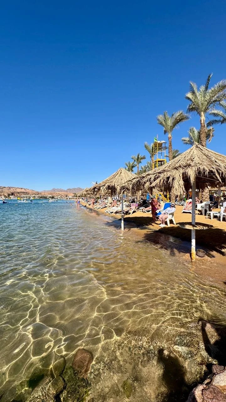 Фото отеля SETI SHARM RESORT