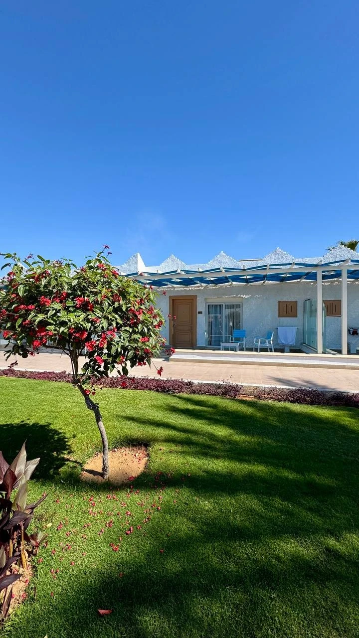 Фото отеля ALBATROS SHARM (EX. BEACH ALBATROS SHARM)