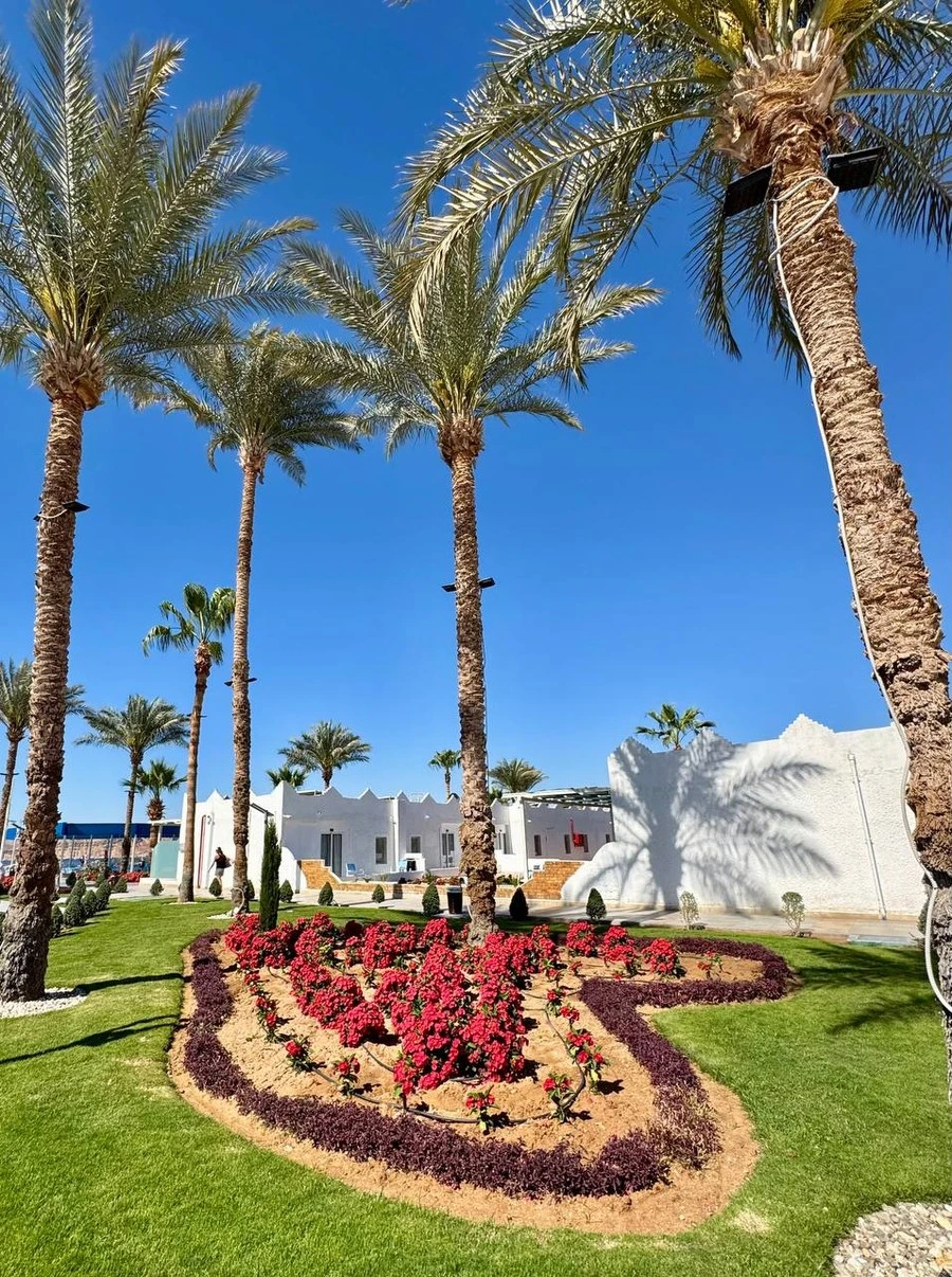 Фото отеля ALBATROS SHARM (EX. BEACH ALBATROS SHARM)