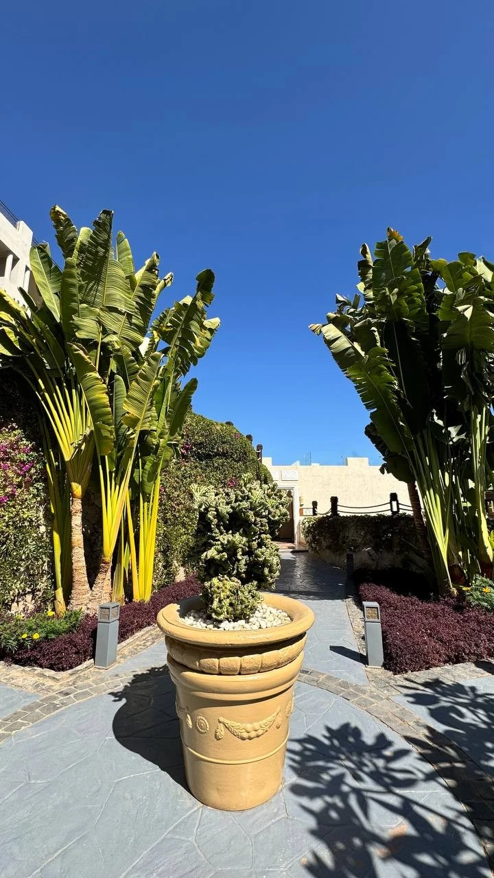 Фото отеля SUNRISE ARABIAN BEACH RESORT