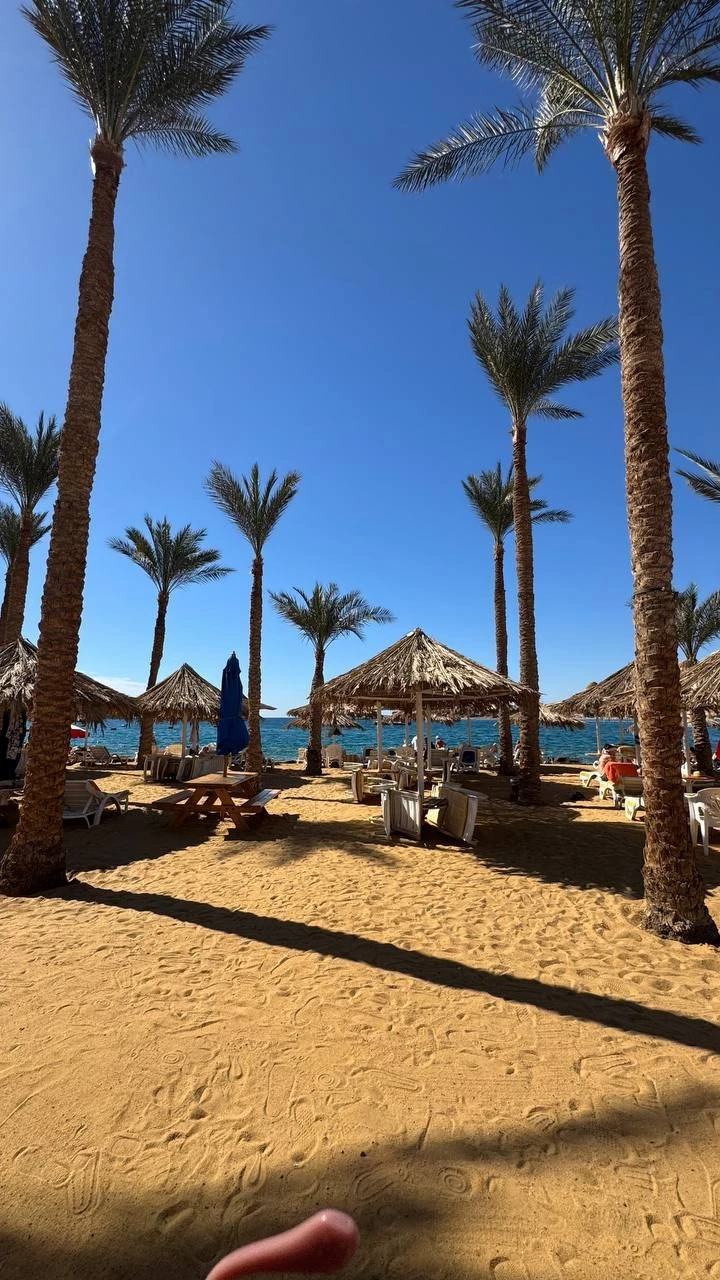 Фото отеля SETI SHARM RESORT