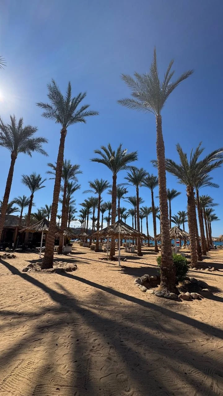 Фото отеля SETI SHARM RESORT