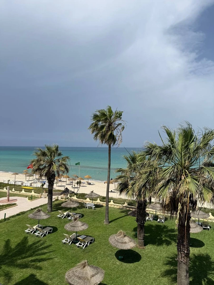 Фото отеля SOL PALMERAS