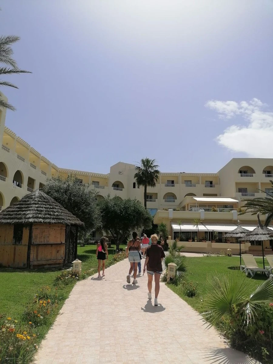 Фото отеля SOL PALMERAS