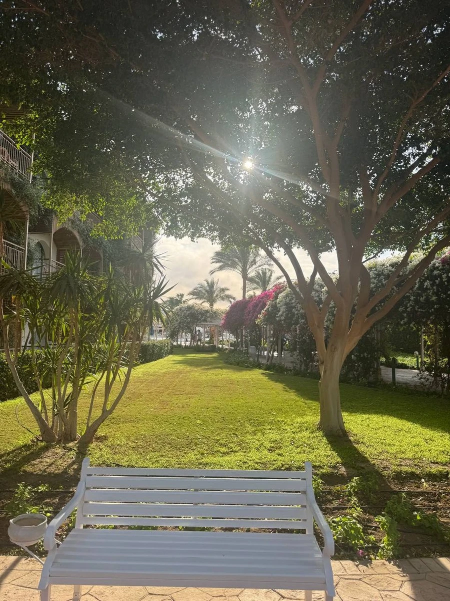 Фото отеля DESERT ROSE RESORT