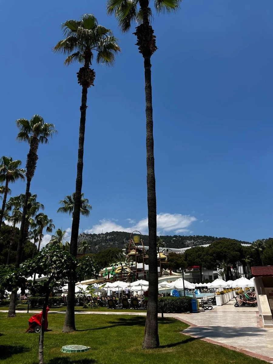 Фото отеля DOBEDAN WORLD PALACE (EX. ALVA DONNA WORLD PALACE)