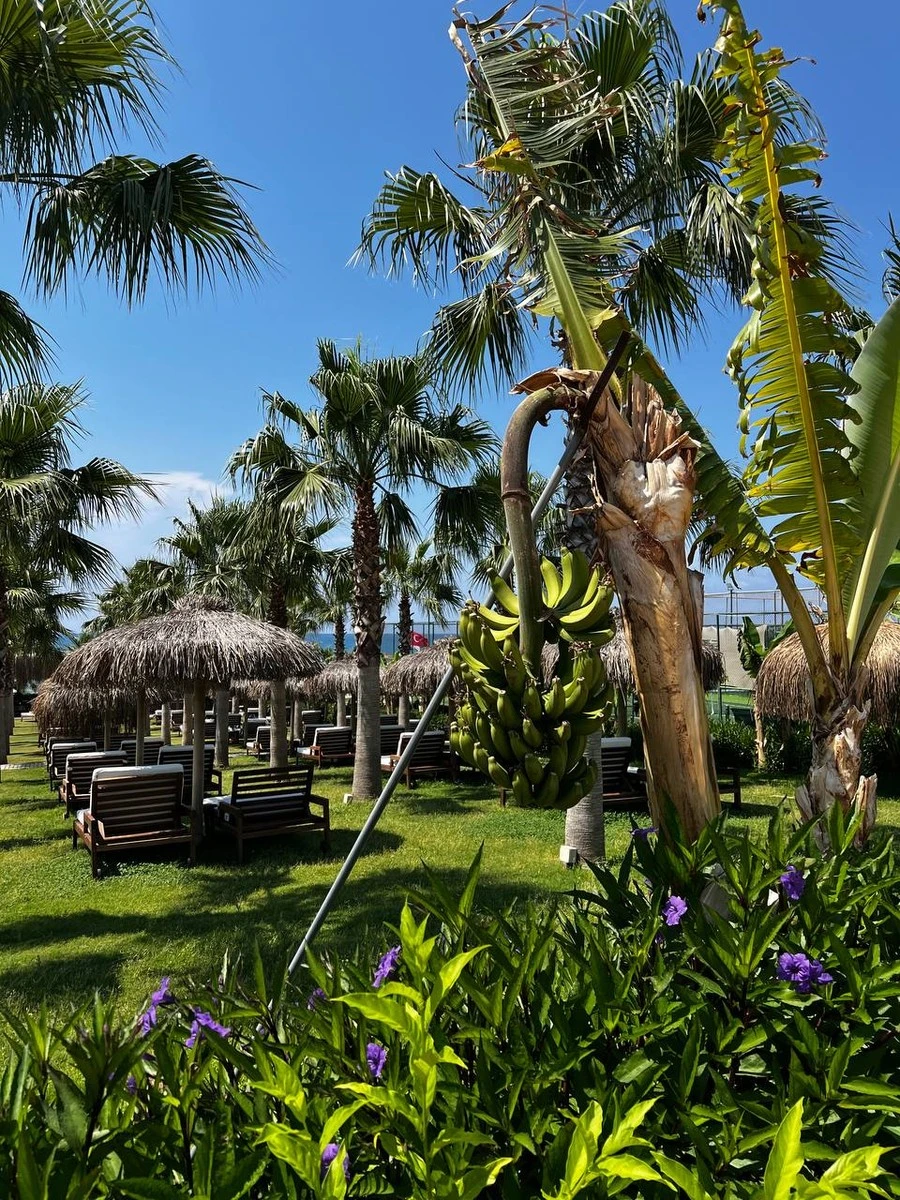 Фото отеля RUBI PLATINUM SIGN