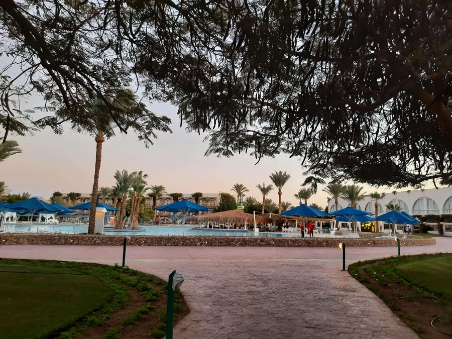 Фото отеля DESERT ROSE RESORT