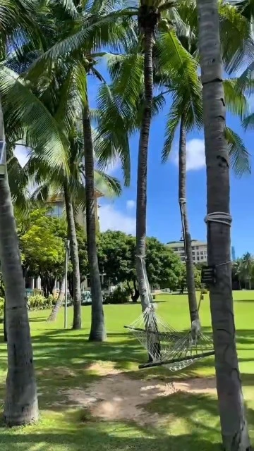 Фото отеля MANGROVE TREE RESORT YALONG BAY