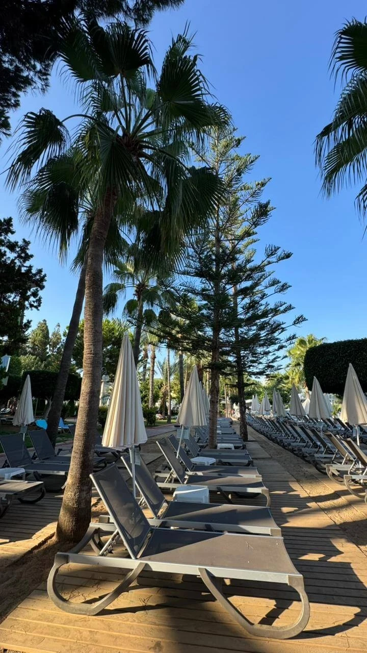 Фото отеля LONICERA WORLD HOTEL