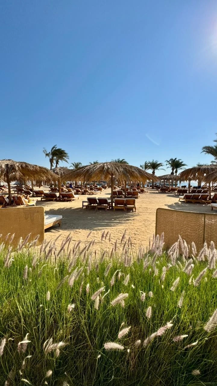 Фото отеля SERRY BEACH RESORT