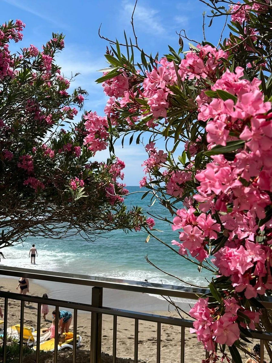 Фото отеля VIKINGEN INFINITY RESORT