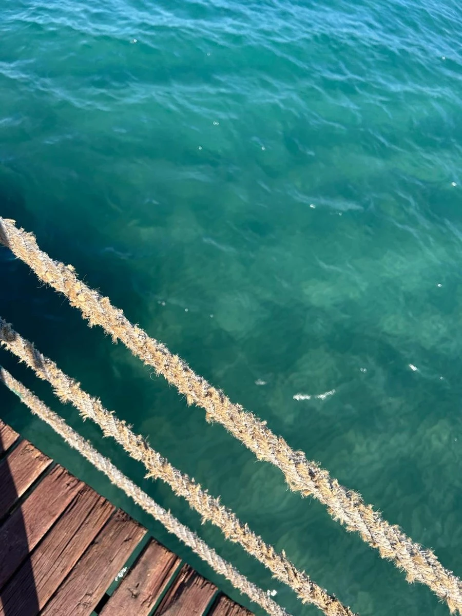 Фото отеля CRYSTAL FLORA BEACH RESORT