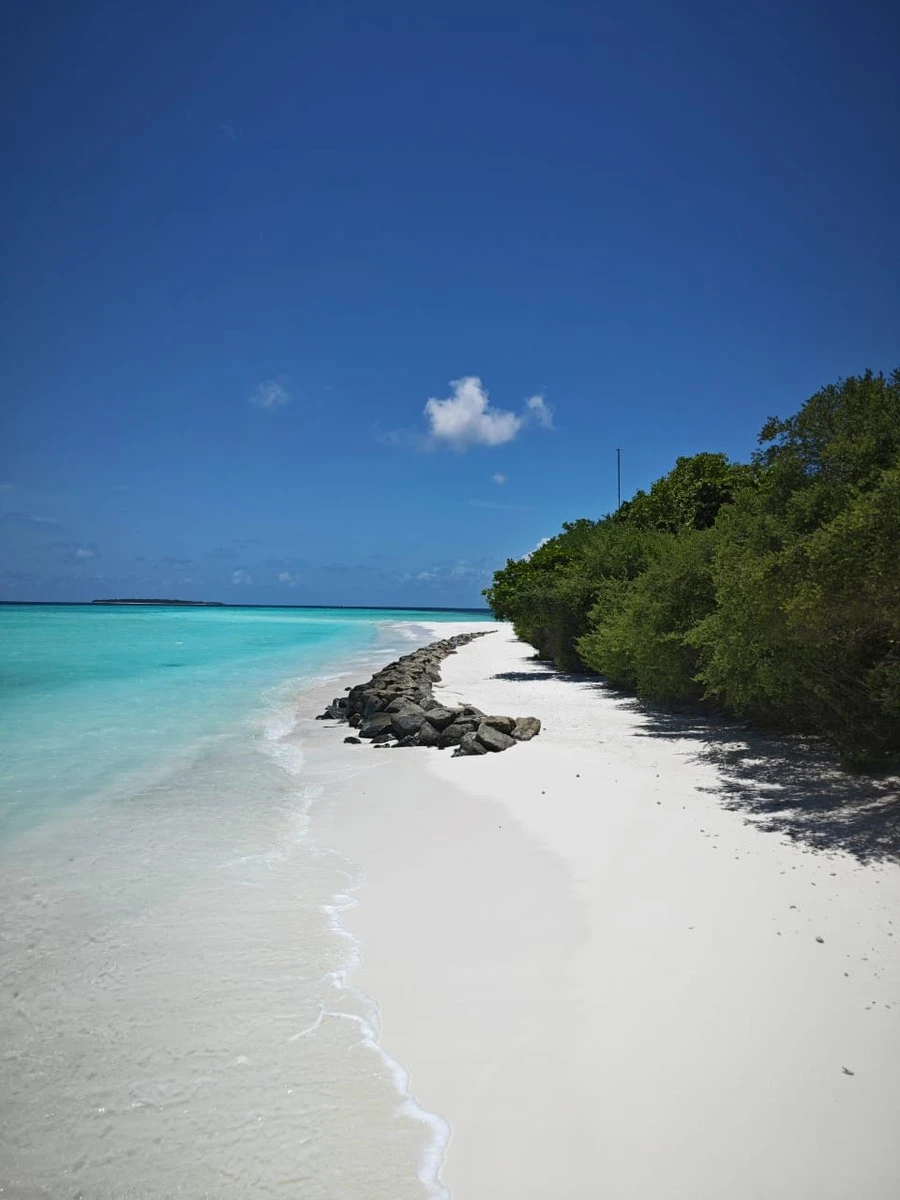 Фото отеля DHIGALI MALDIVES