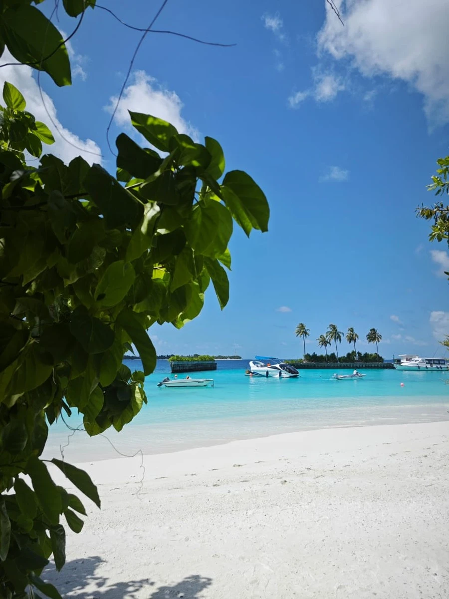 Фото отеля DHIGALI MALDIVES