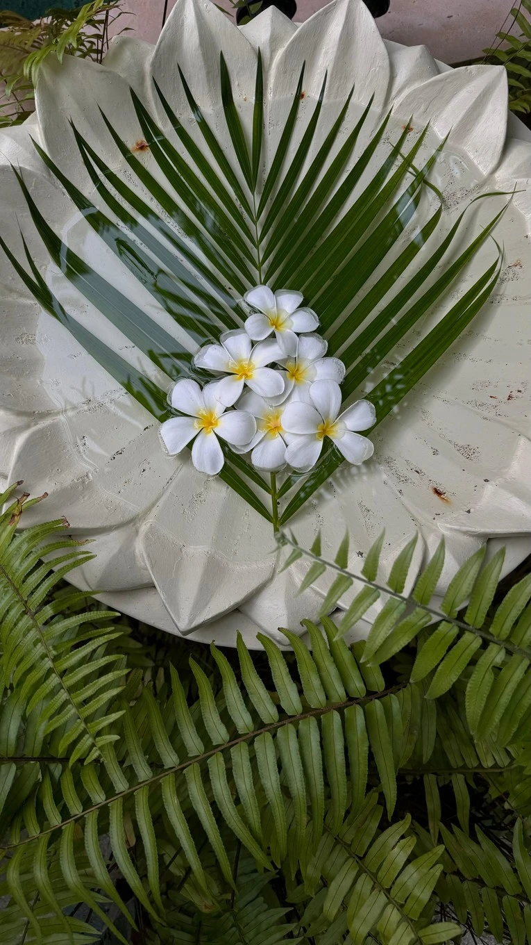 Фото отеля Sun Siyam Vilu Reef