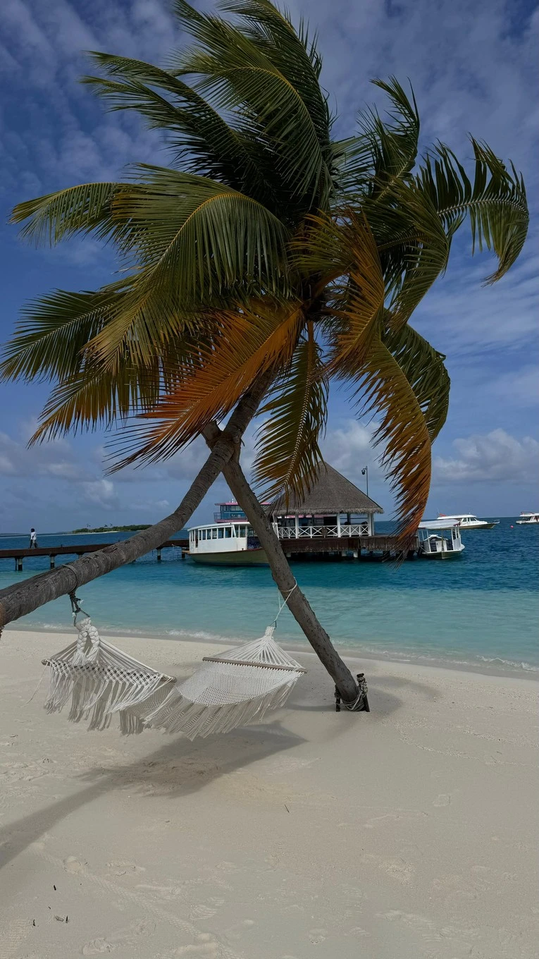 Фото отеля Sun Siyam Vilu Reef