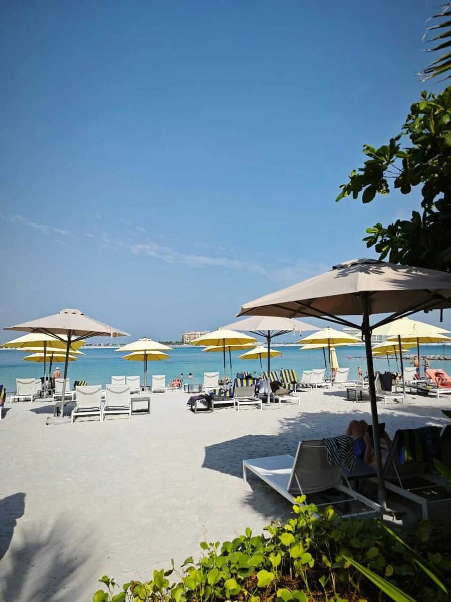 Фото отеля MOVENPICK RESORT AL MARJAN ISLAND