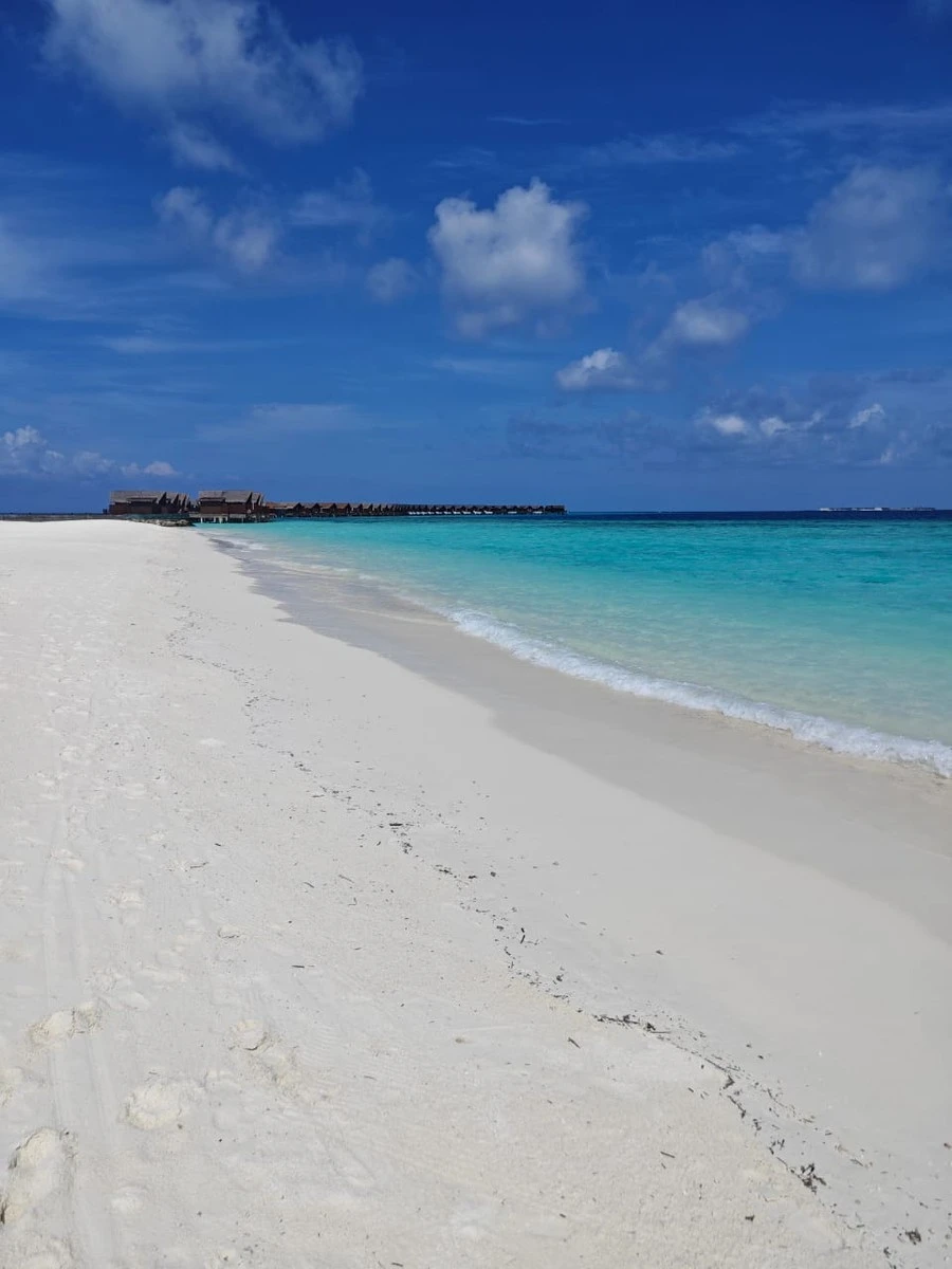 Фото отеля GRAND PARK KODHIPPARU