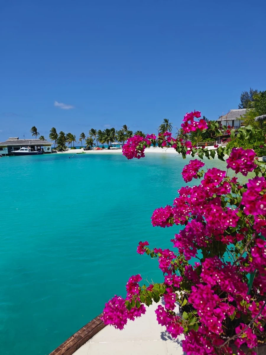 Фото отеля GRAND PARK KODHIPPARU