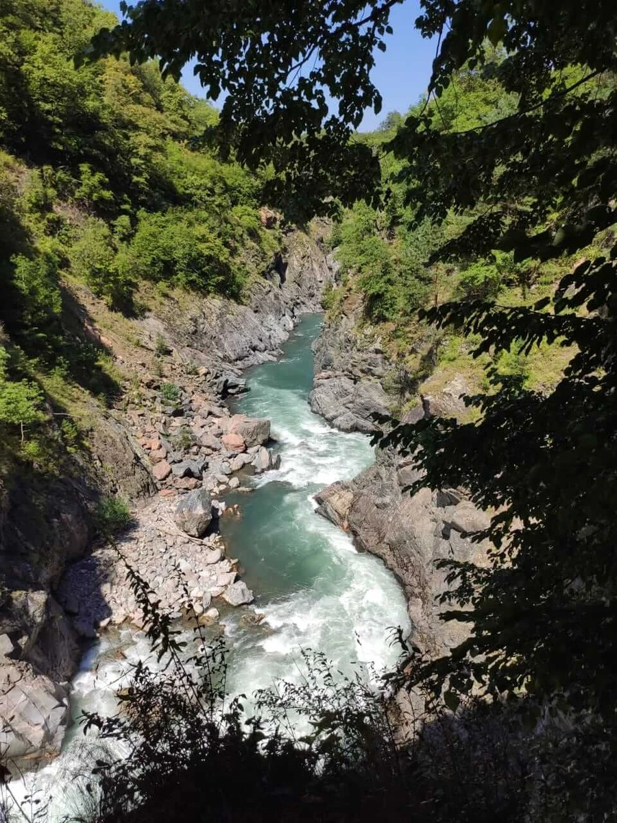 Фото отеля БАРСКАЯ УСАДЬБА