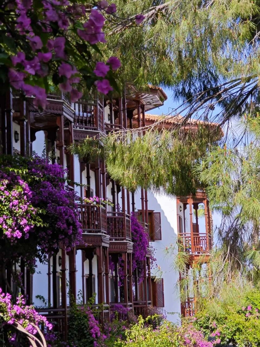 Фото отеля CLUB & HOTEL LETOONIA