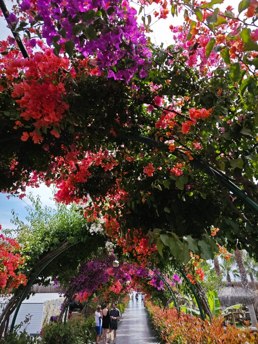 Фото отеля RUBI PLATINUM SIGN