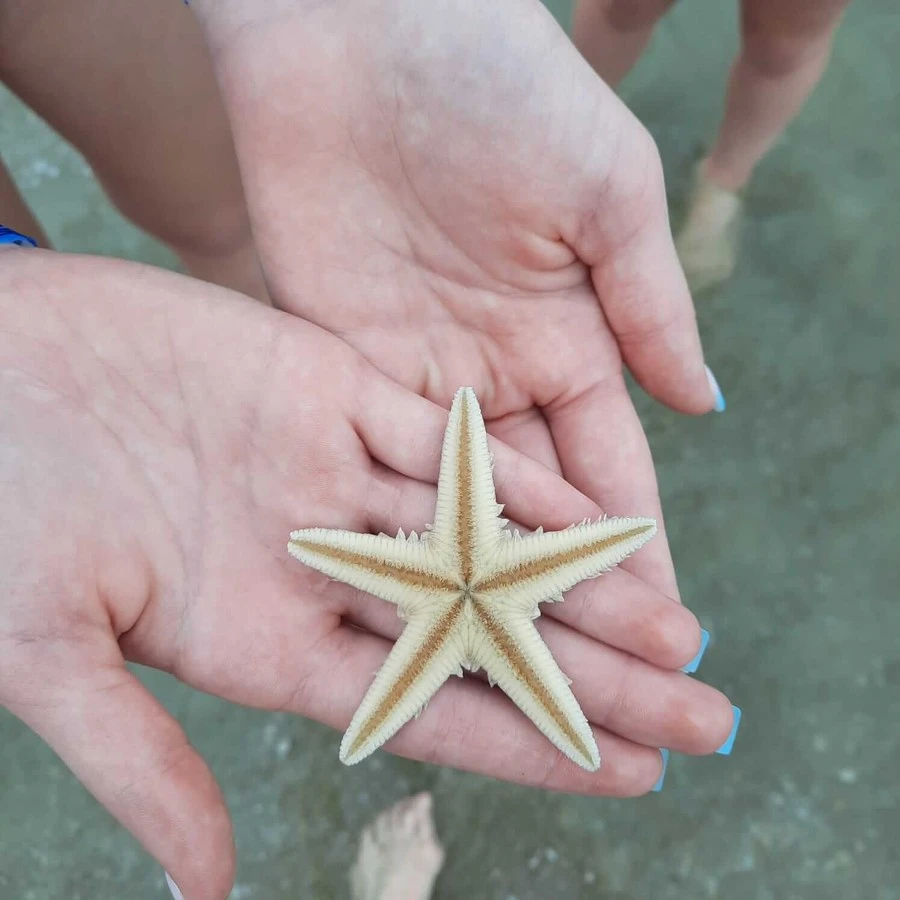 Фото отеля PULLMAN OCEAN VIEW SANYA BAY RESORT & SPA