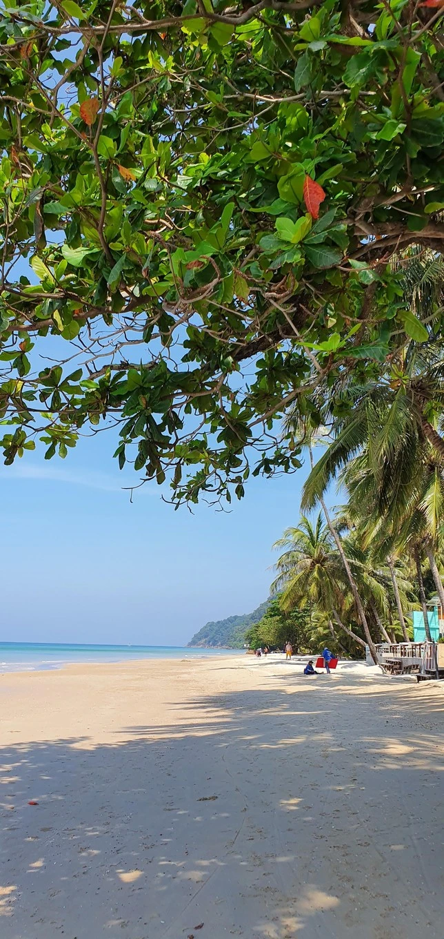 Фото отеля COOKIES HOTEL & BUNGALOWS