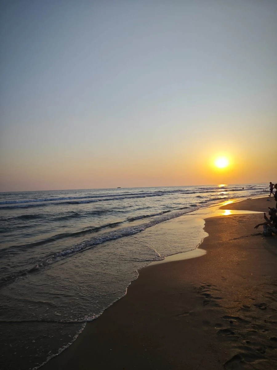 Фото отеля ФЕЯ SUNCLUB RESORT & SPA (EX. ФЕЯ-3)