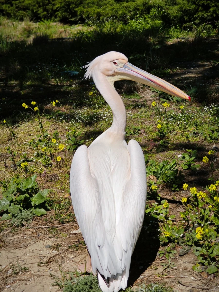 Фото отеля РАССВЕТЫ И ЗАКАТЫ (БЫВШ. ЧЕРНОМОРЕЦ САНАТОРИЙ ПЕСЧАНОЕ)