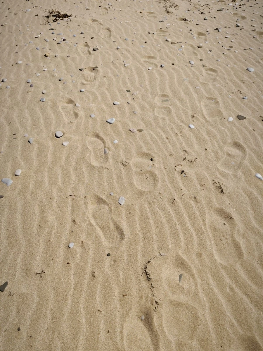 Фото отеля РАССВЕТЫ И ЗАКАТЫ (БЫВШ. ЧЕРНОМОРЕЦ САНАТОРИЙ ПЕСЧАНОЕ)