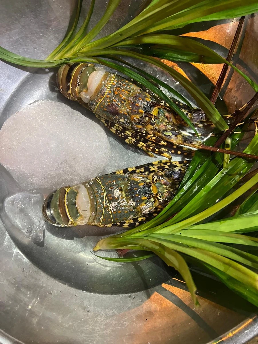 Фото отеля SWANDOR HOTELS & RESORTS CAM RANH