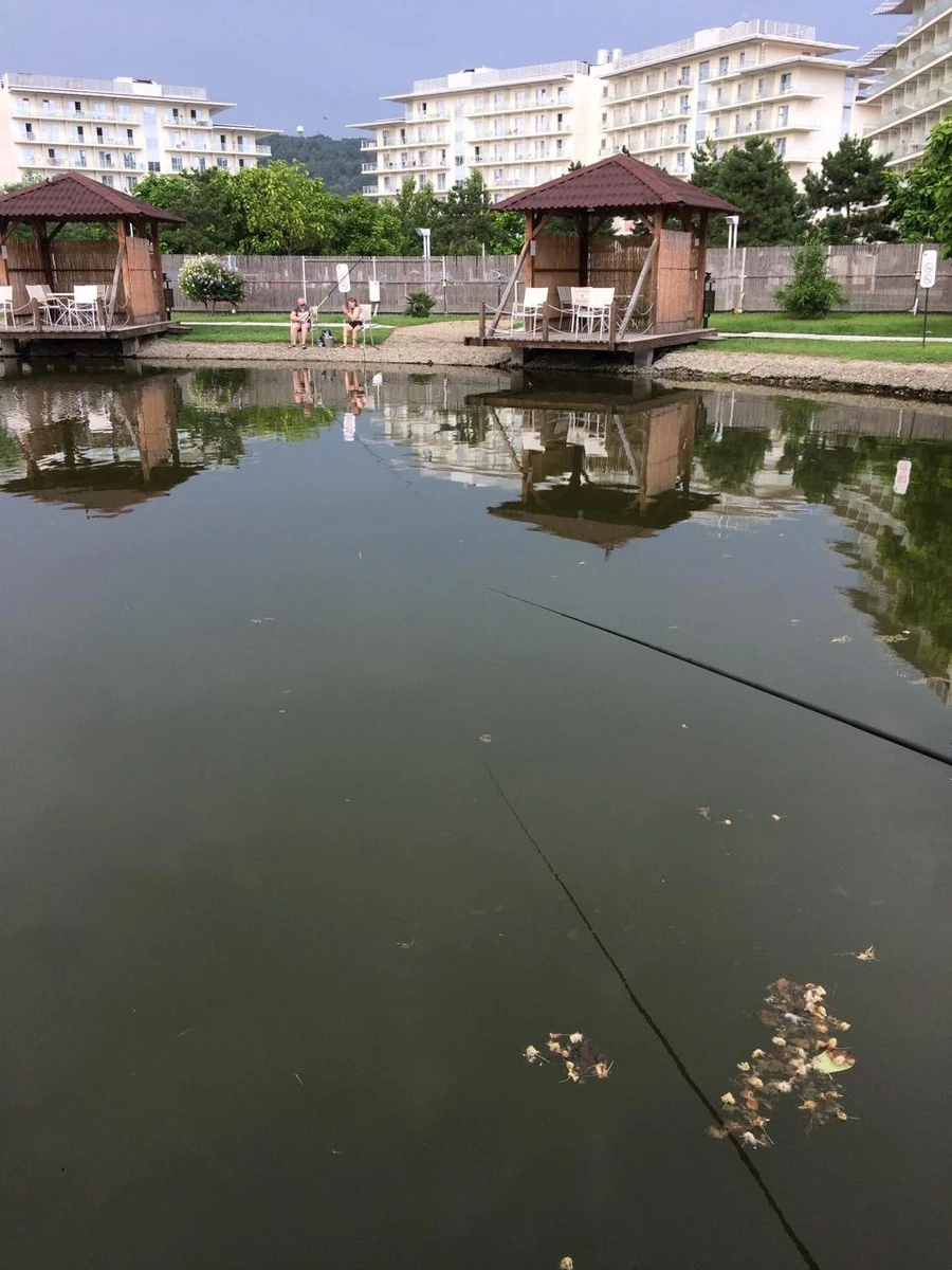 Фото отеля СОЧИ ПАРК ОТЕЛЬ