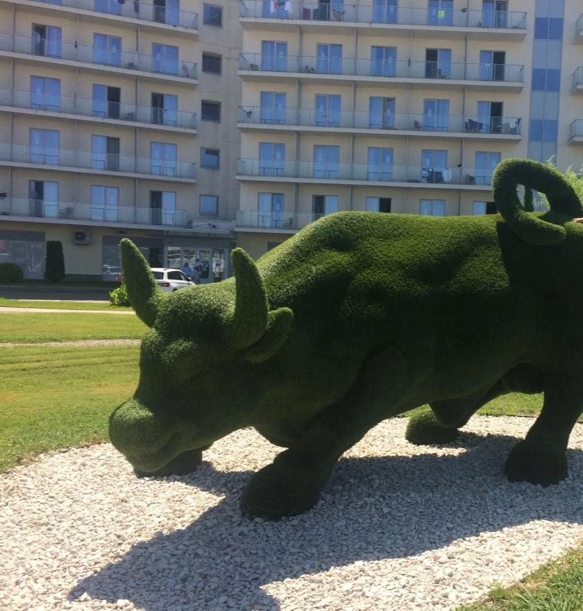 Фото отеля СОЧИ ПАРК ОТЕЛЬ