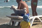 Отдых в Болгарии - фото 8