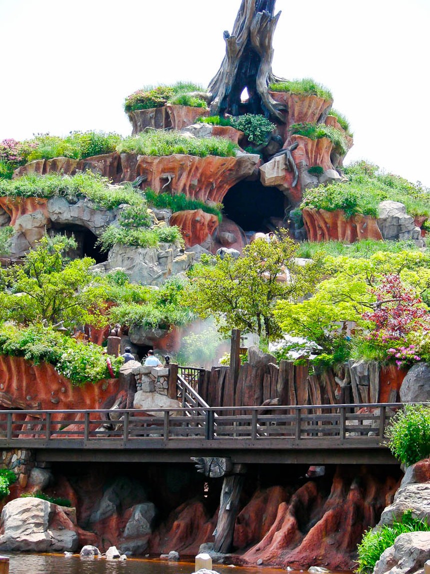 Тур Диснейленд Япония, Токио "Tokyo Disney Resort" - фото 1