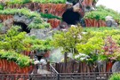 Тур Диснейленд Япония, Токио "Tokyo Disney Resort" - фото 1