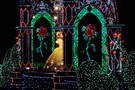 Тур Диснейленд Япония, Токио "Tokyo Disney Resort" - фото 90
