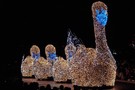 Тур Диснейленд Япония, Токио "Tokyo Disney Resort" - фото 74