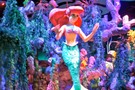 США, Орландо, Дисней Меджик Киндом,  "Walt Disney World Magic Kingdom" - фото 39