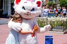 США, Орландо, Дисней Меджик Киндом,  "Walt Disney World Magic Kingdom" - фото 19