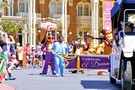 США, Орландо, Дисней Меджик Киндом,  "Walt Disney World Magic Kingdom" - фото 32