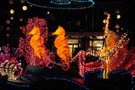 США, Орландо, Дисней Меджик Киндом,  "Walt Disney World Magic Kingdom" - фото 13