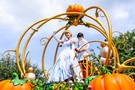 США, Орландо, Дисней Меджик Киндом,  "Walt Disney World Magic Kingdom" - фото 48